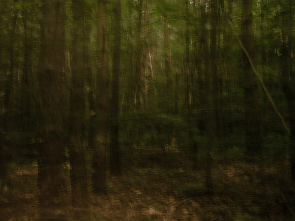 2013-07-18-219