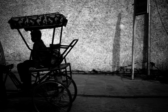 delhi #502