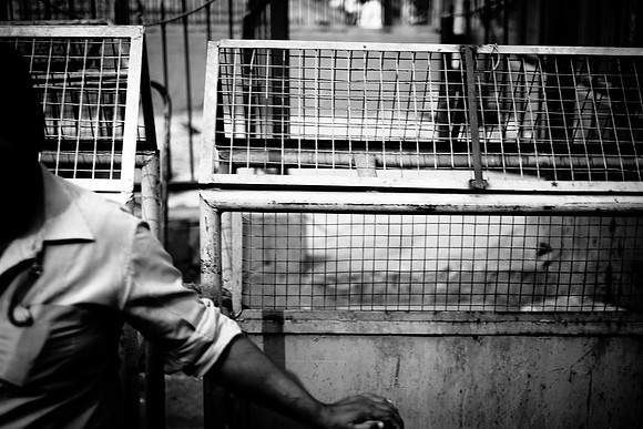 delhi #426