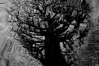 2013-01-02-47-30
