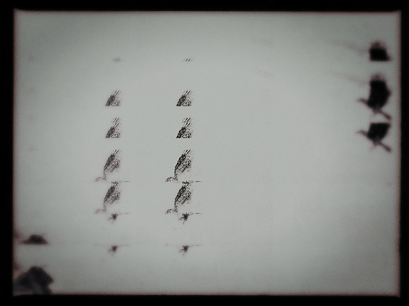 33-144