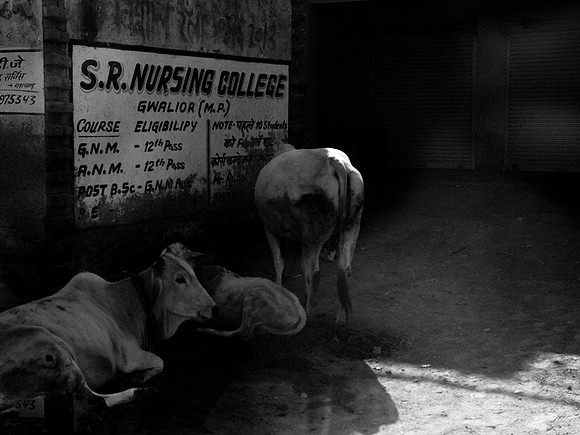 delhi-757