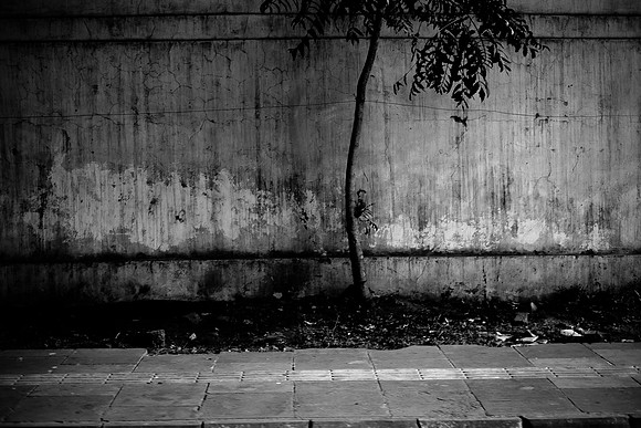 delhi #862