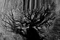 2013-01-02-47-38
