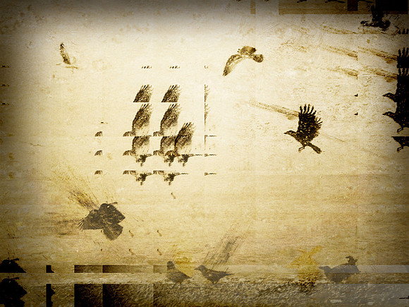 33-44