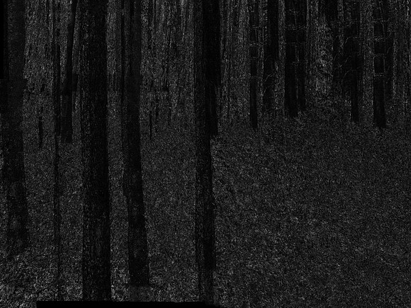 050317-2-29