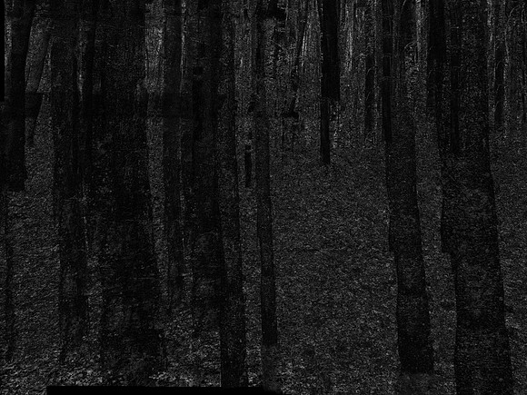050317-2-3