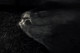 230315-207-3