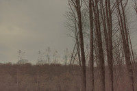 281114 #314