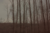 281114 #336