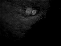 luna 8-17