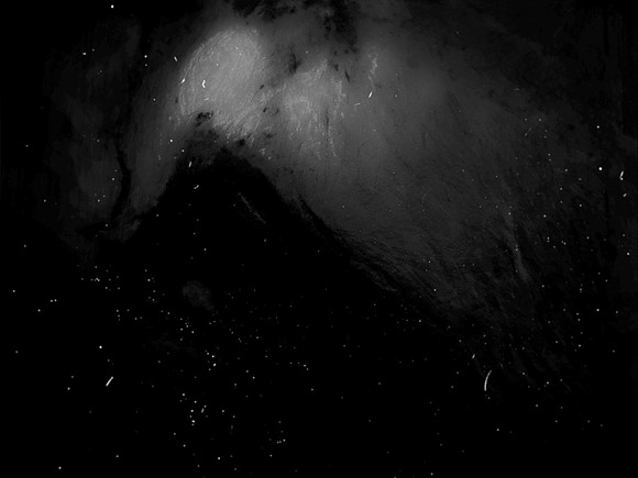 luna 8-211