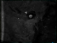 luna 8-21