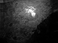 luna 8-44