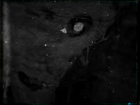 luna 8-16