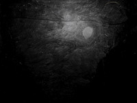 luna 8-47
