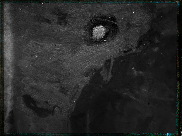 luna 8-19