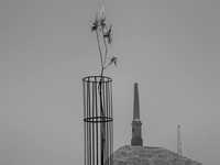 280615-766-12