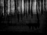 240817-3-6