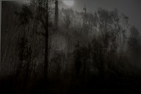 020516-3-12