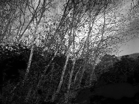 200716-3-6