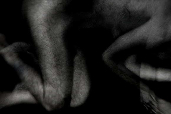 261114 #318-3-6