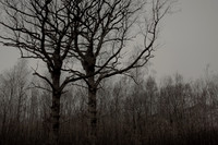 011214 #13
