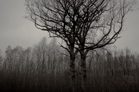 011214 #37