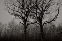 011214 #20