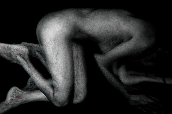 261114 #318-6
