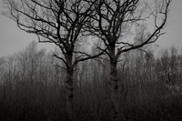 011214 #16