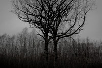011214 #39