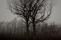 011214 #23
