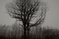 011214 #7
