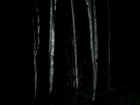 260515-87