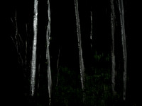 260515-2