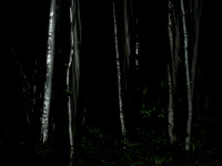 260515-6