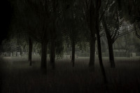 2013-09-30v2-373