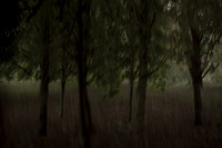 2013-09-30v2-413