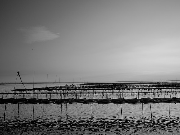 080717-8