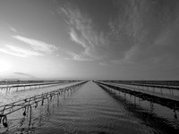 080717-6