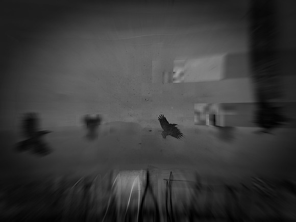 11-83