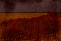 20150306-070315#215-2