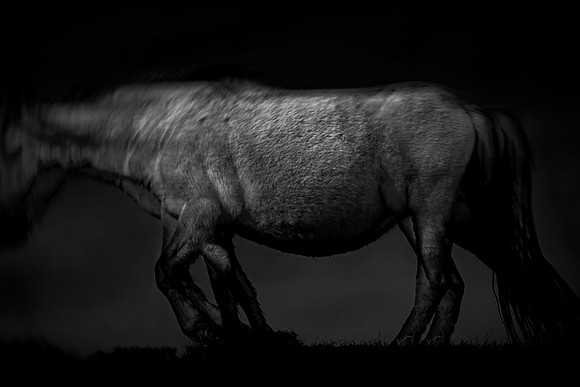 150416-3-6