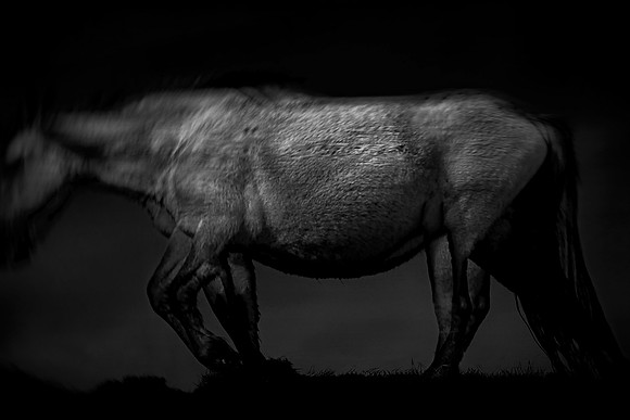 150416-3-9