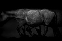 150416-3-4