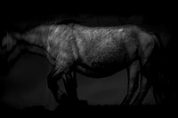 150416-3-3