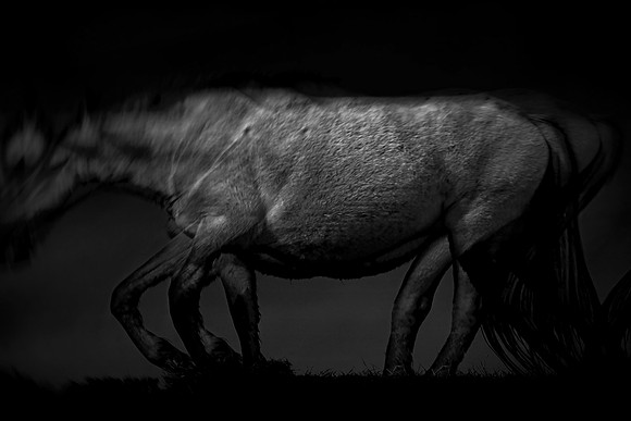 150416-3-5