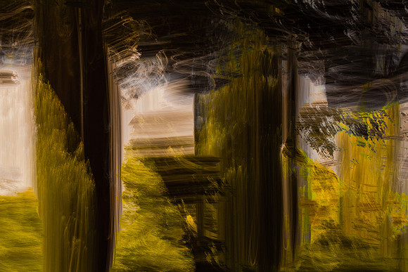 110814 #8