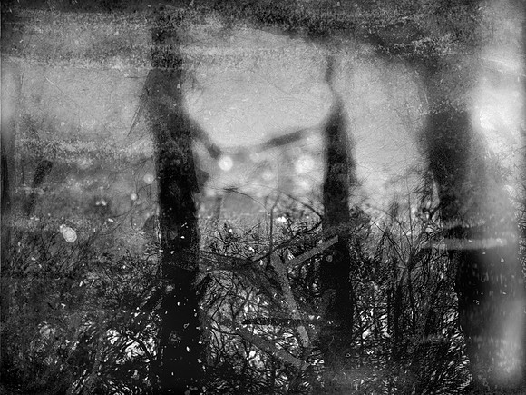 06-10-Edit-2-Edit-2-Edit-Edit-Edit-5-Edit